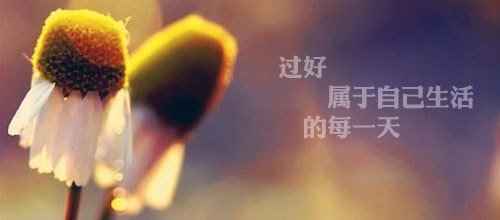 過好屬于自己的每一天